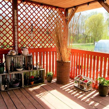 Losiowate Gospodarstwo Agroturystyczne Rybaki  Exterior photo