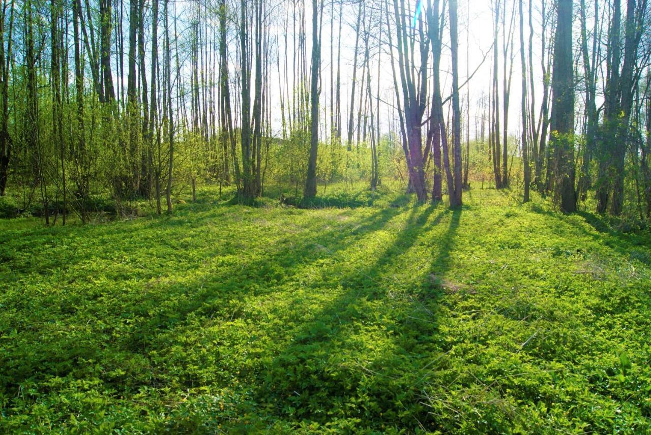 Losiowate Gospodarstwo Agroturystyczne Rybaki  Exterior photo