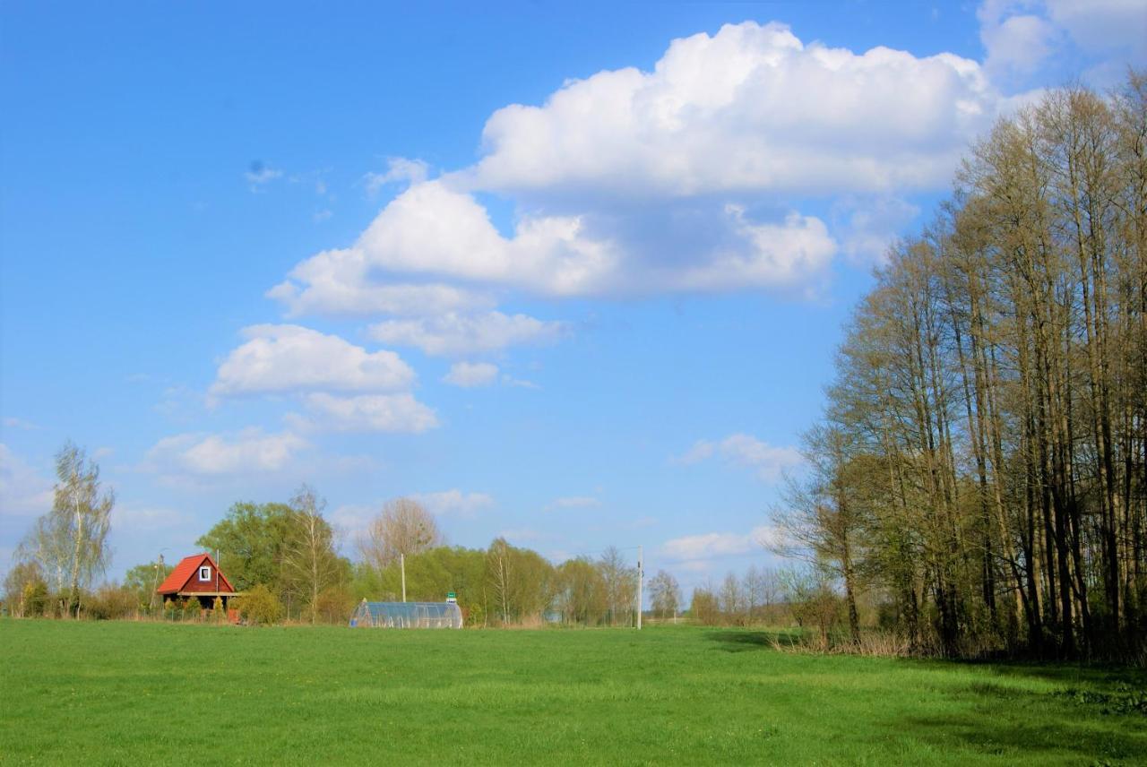 Losiowate Gospodarstwo Agroturystyczne Rybaki  Exterior photo